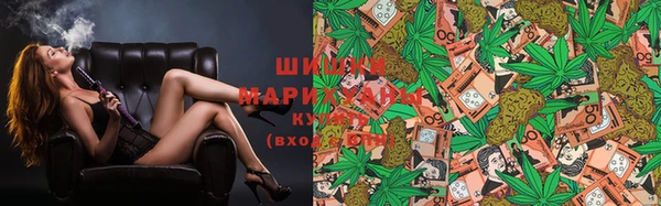 ГАЛЛЮЦИНОГЕННЫЕ ГРИБЫ Арсеньев