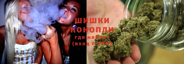 ГАЛЛЮЦИНОГЕННЫЕ ГРИБЫ Арсеньев