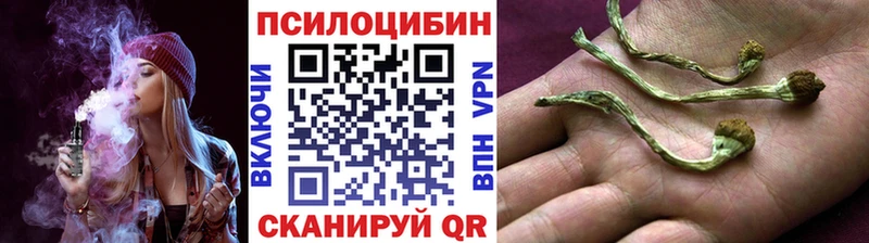 цены   Скопин  Псилоцибиновые грибы прущие грибы 